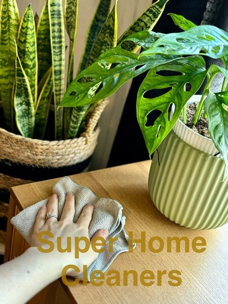 Super Home Cleaners Logo