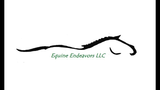 Equine Endeavors LLC