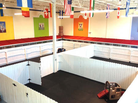 Healthy sales hounds playground