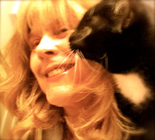 Tender Touch Pet Sitters's Photo