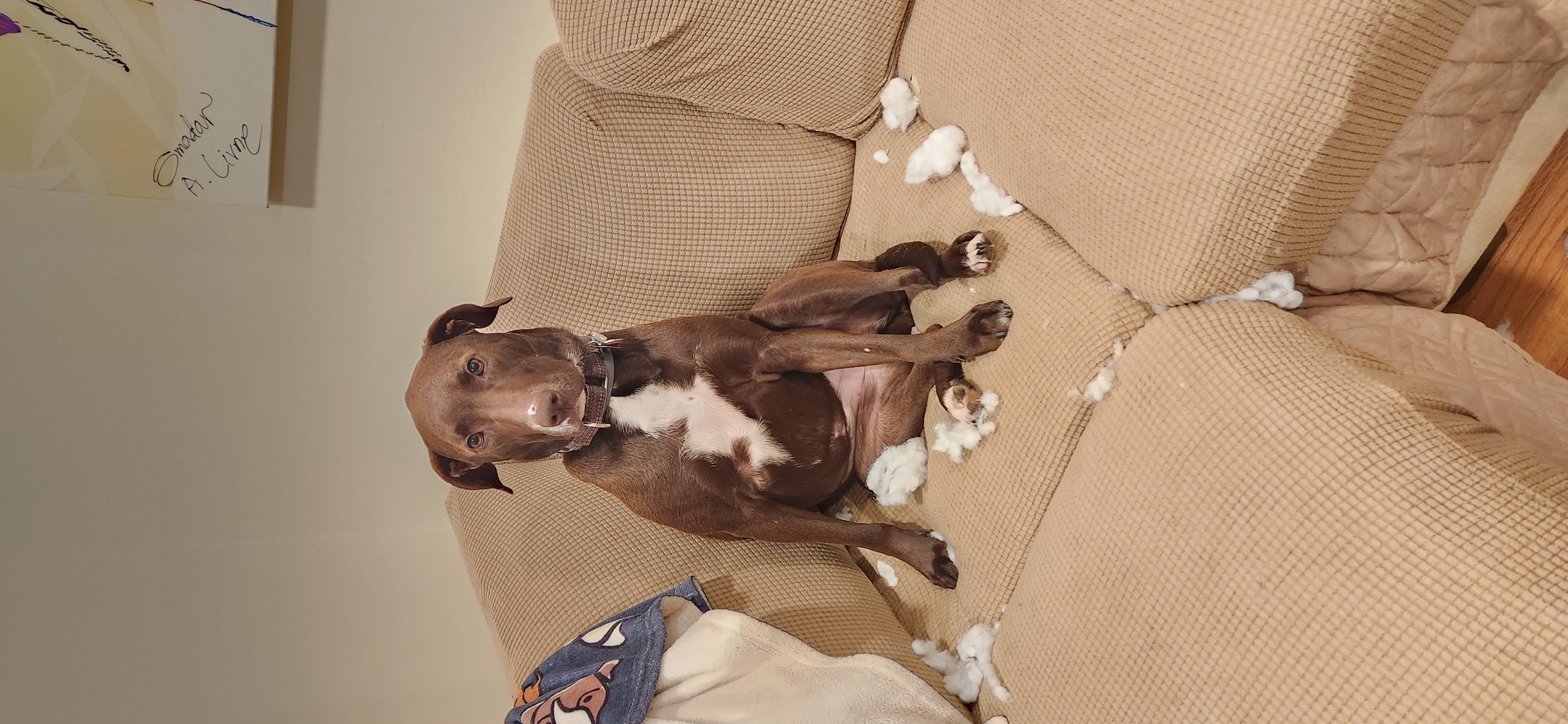 Furry Feathered, & Friends Pet Care LLC's Photo