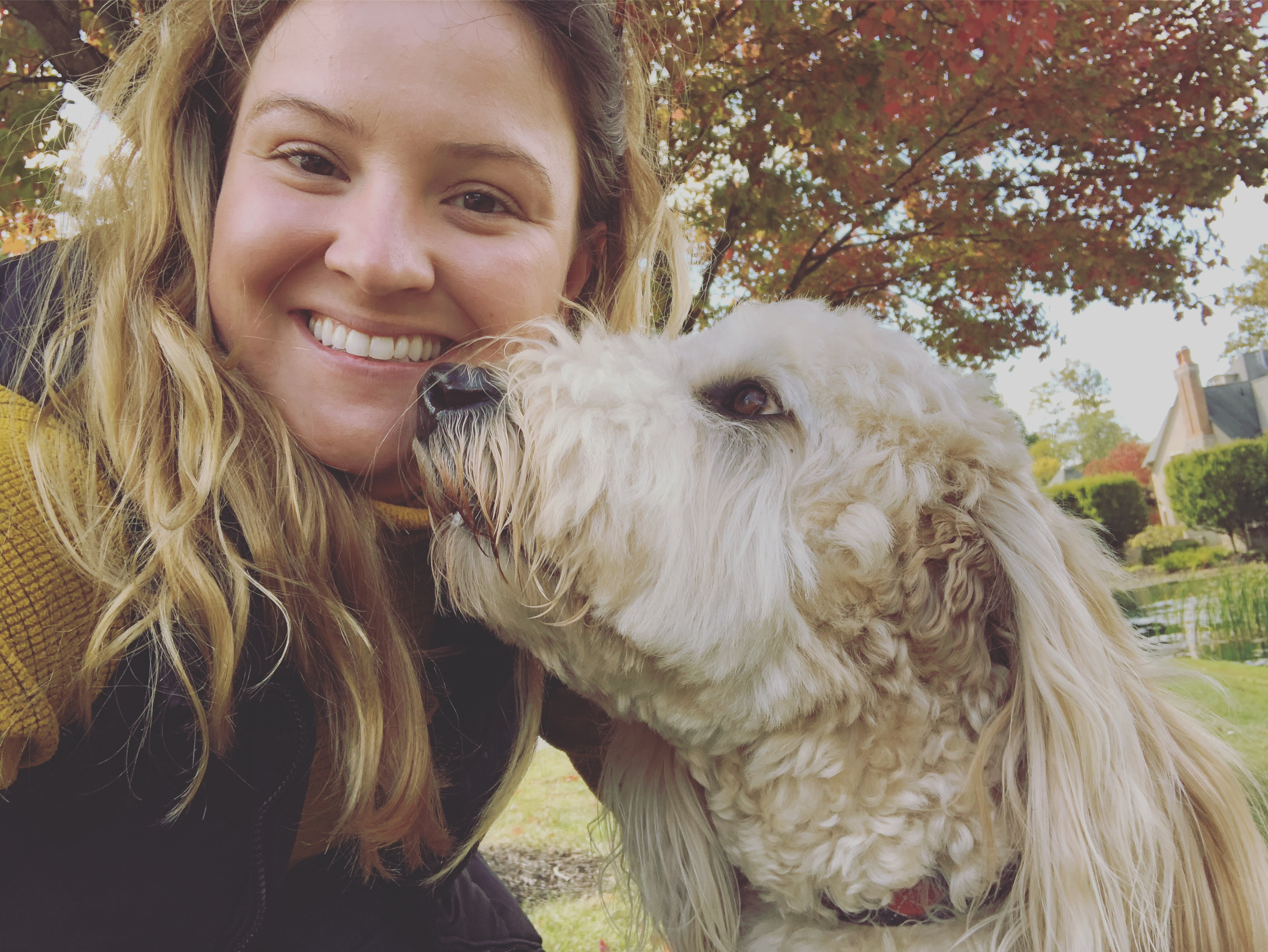 Happy Tails Columbus LLC's Photo