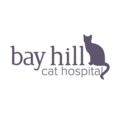 Bay Hill Cat Hospital