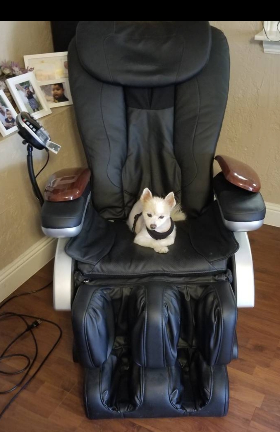 Lucie's Pet Care's Photo