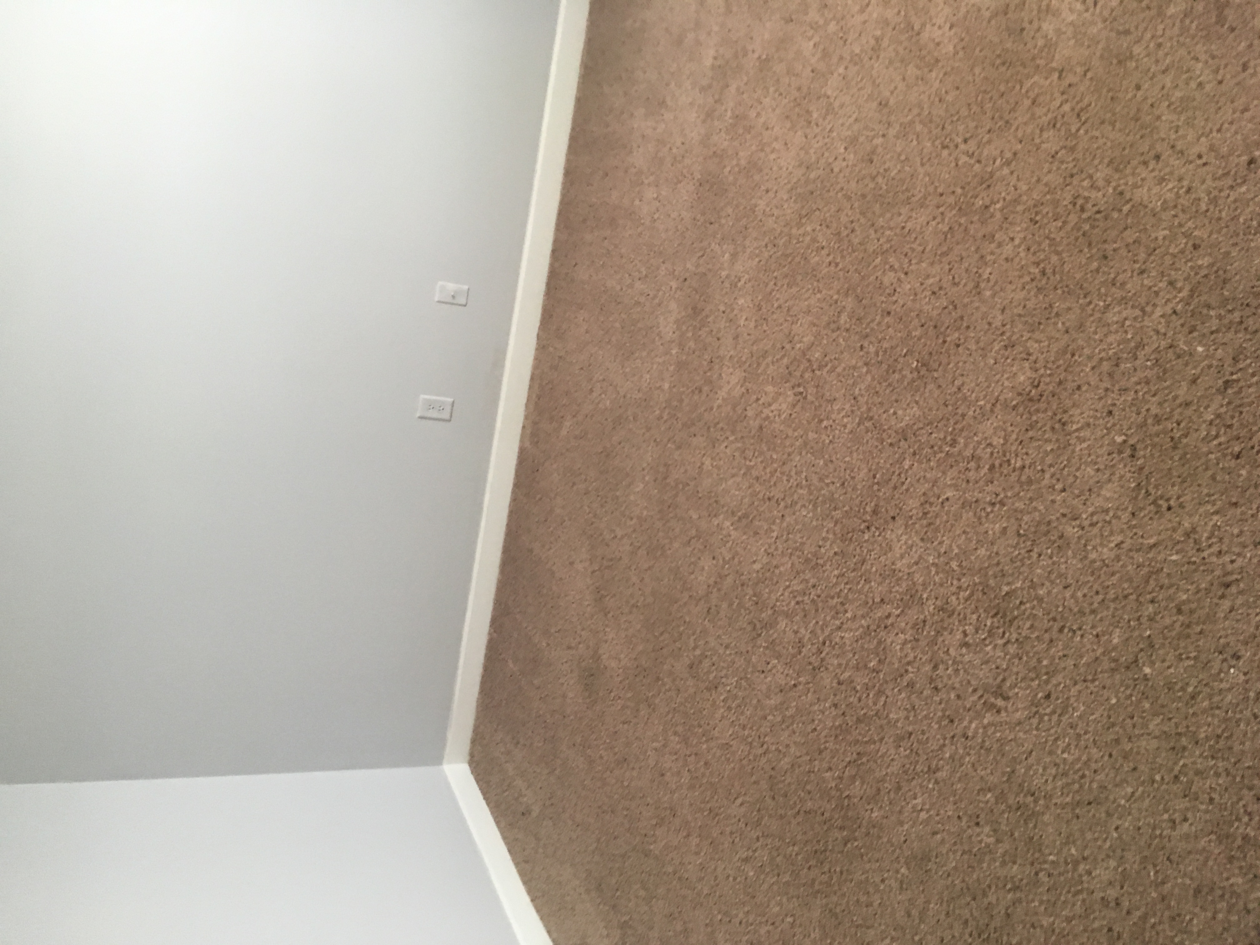 Griffin Cleaning's Photo