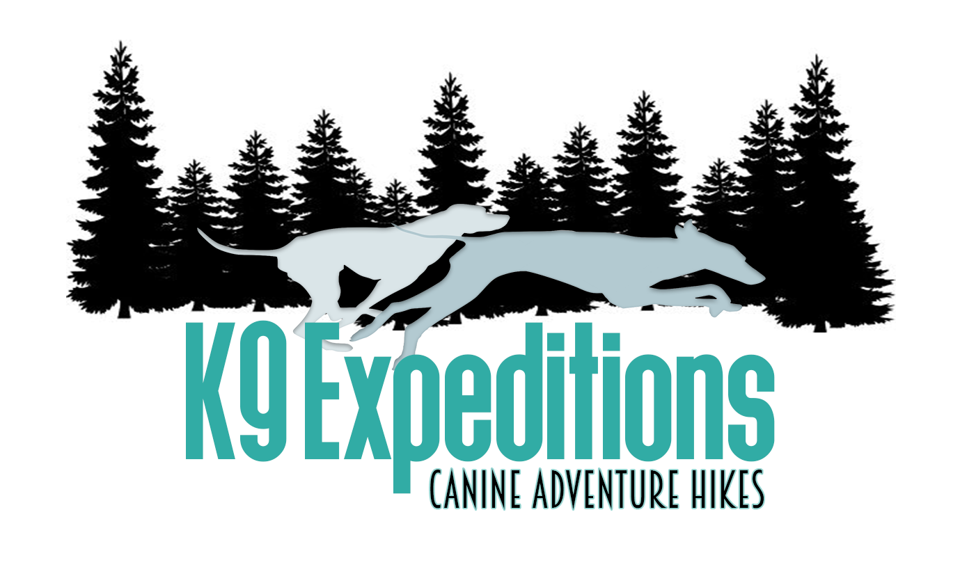 K9 Expeditions's Photo