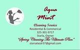 Aqua Mint Cleaning Service
