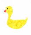 Little Ducklings Childcare