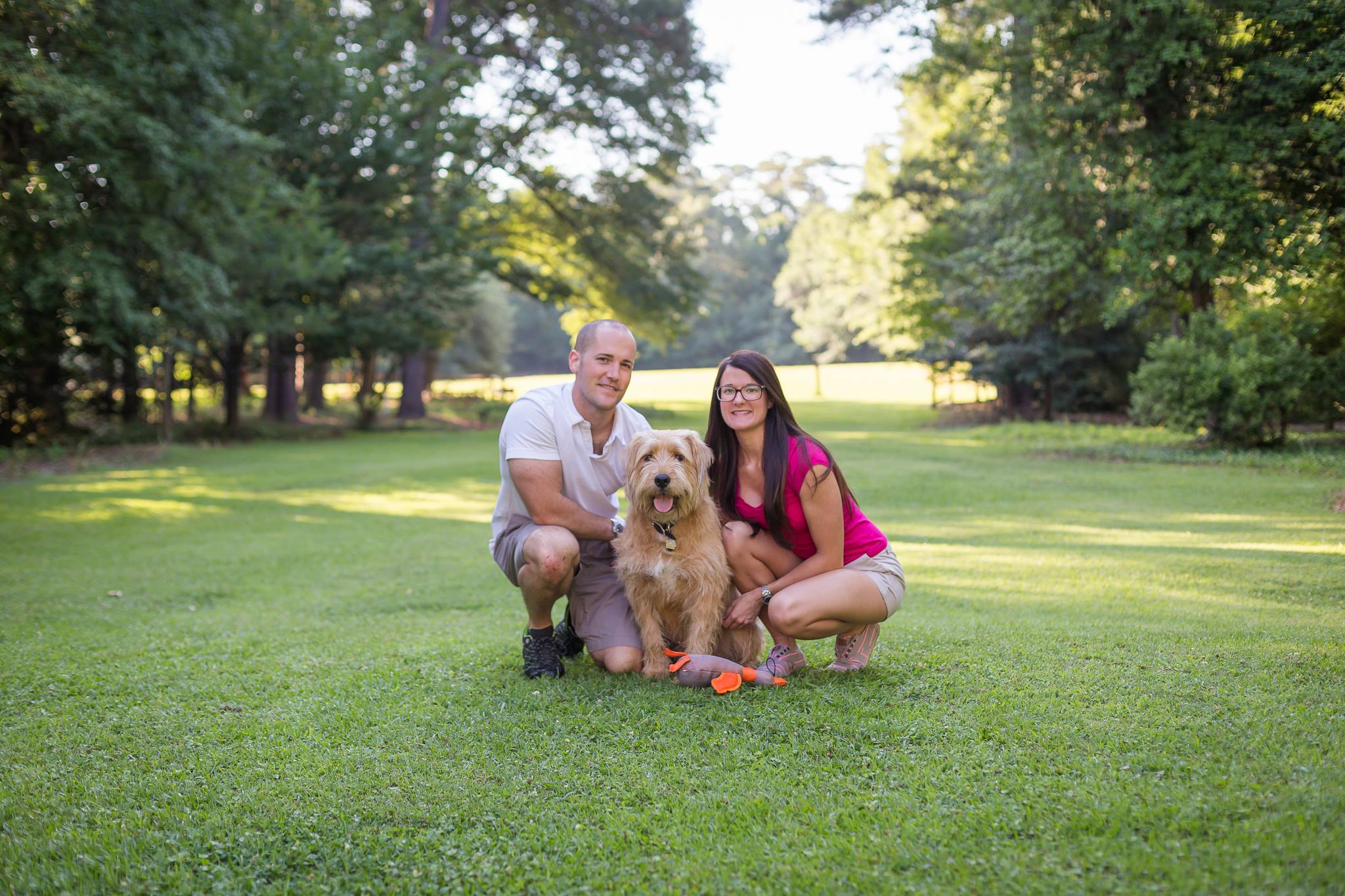 The Aced Pet Sitter (Active - Caring - Energetic & Driven)'s Photo