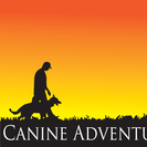 Canine Adventure LLC