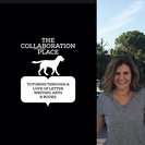 The Collaboration Place