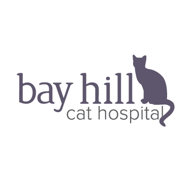 Bay Hill Cat Hospital's Photo