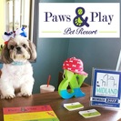 Paws and Play Pet Resort