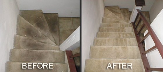 Morrissey Cleaning Services's Photo