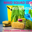 Maid Squad Ozarks