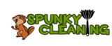 Spunky Cleaning