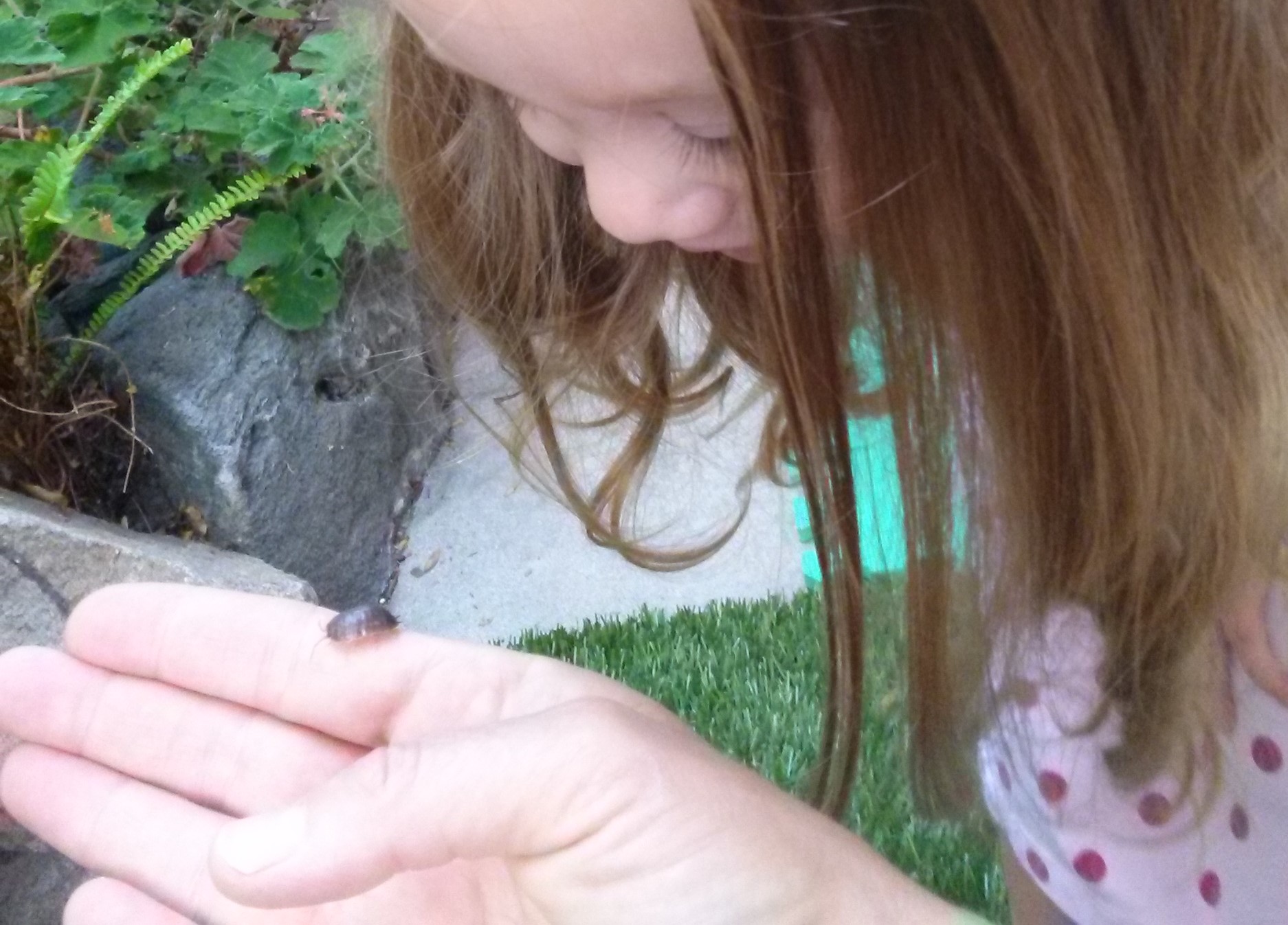 LittleLiving Nature School's Photo