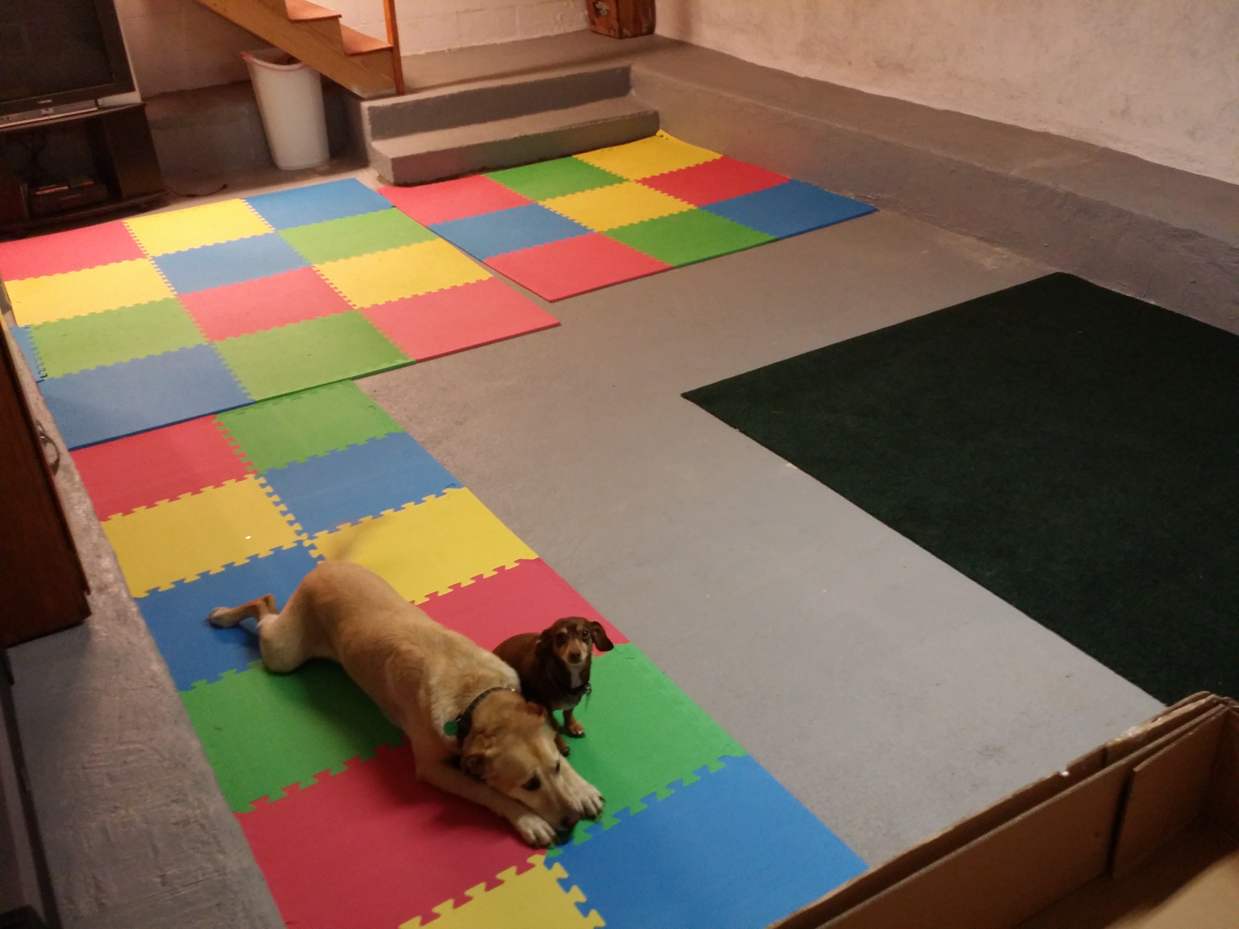 Critter Castle's Photo