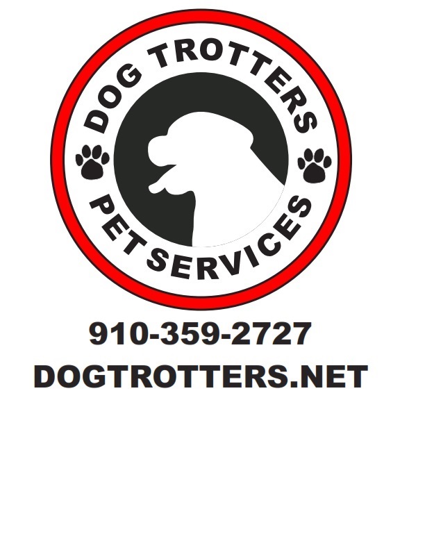 Dog Trotters's Photo