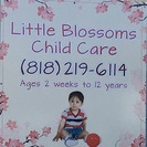Little Blossoms Child Care