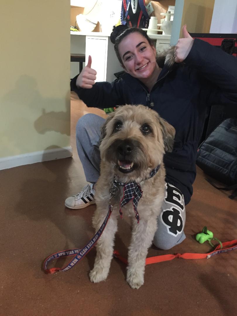 AAA Pet Concierge's Photo
