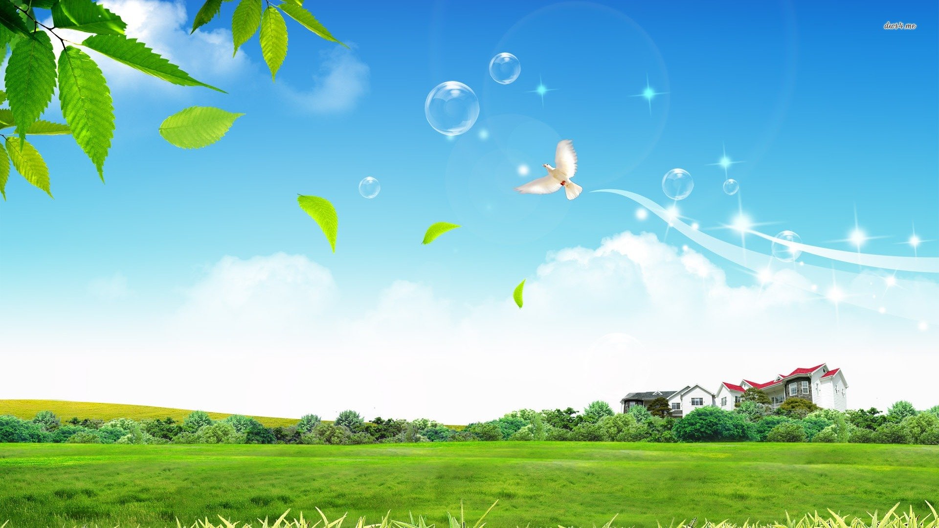 Blue Heaven Cleaning Services's Photo