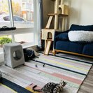 Seattle Cat BnB