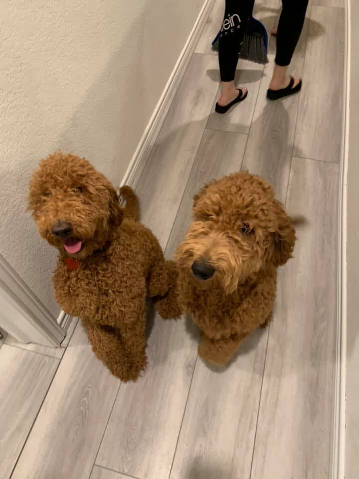 Paw Pee Chulo Sits's Photo