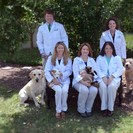 Case Veterinary Hospital