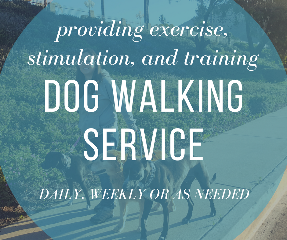 Chloe's Critter Care's Photo