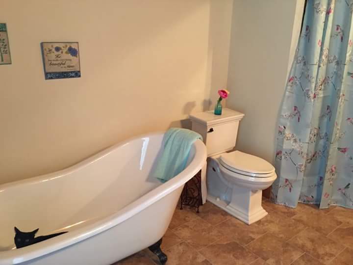 Lilac Housekeeping's Photo