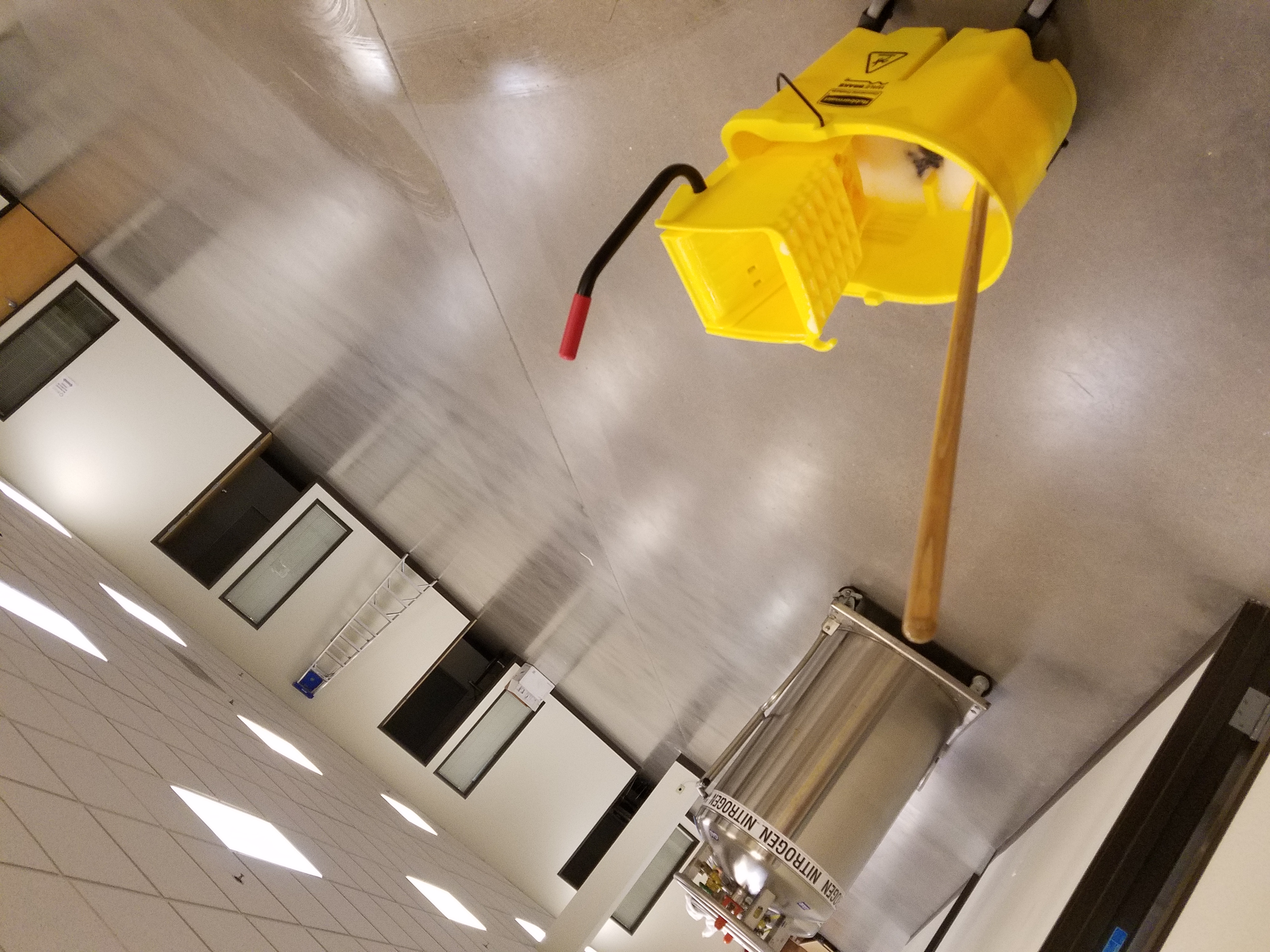 Clean As A Ninja's Photo