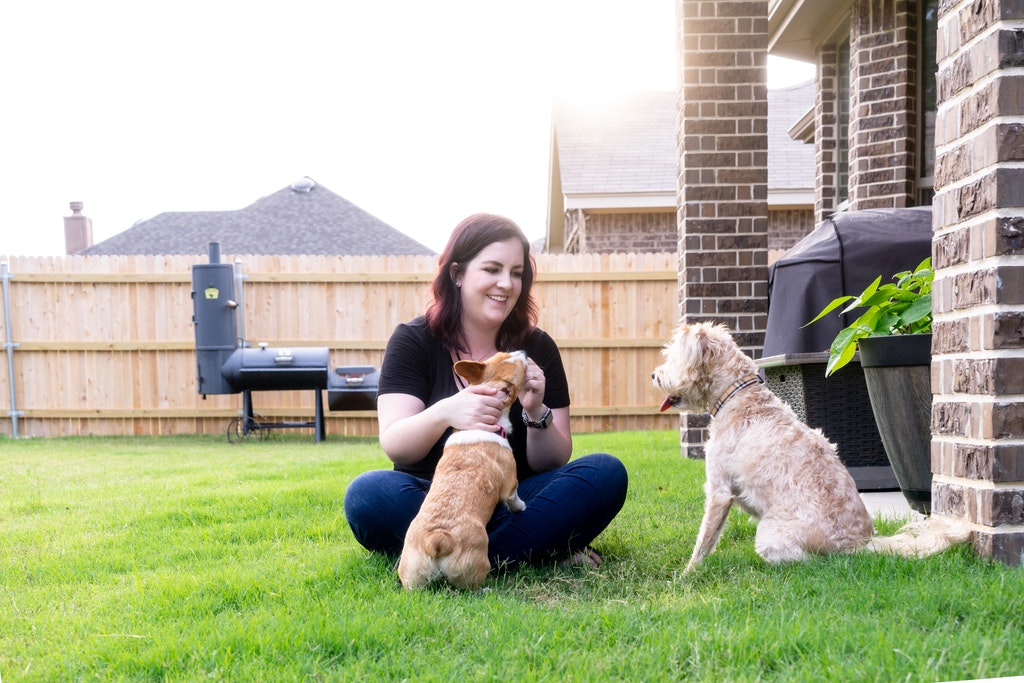 Cowtown Dog Walking & More's Photo