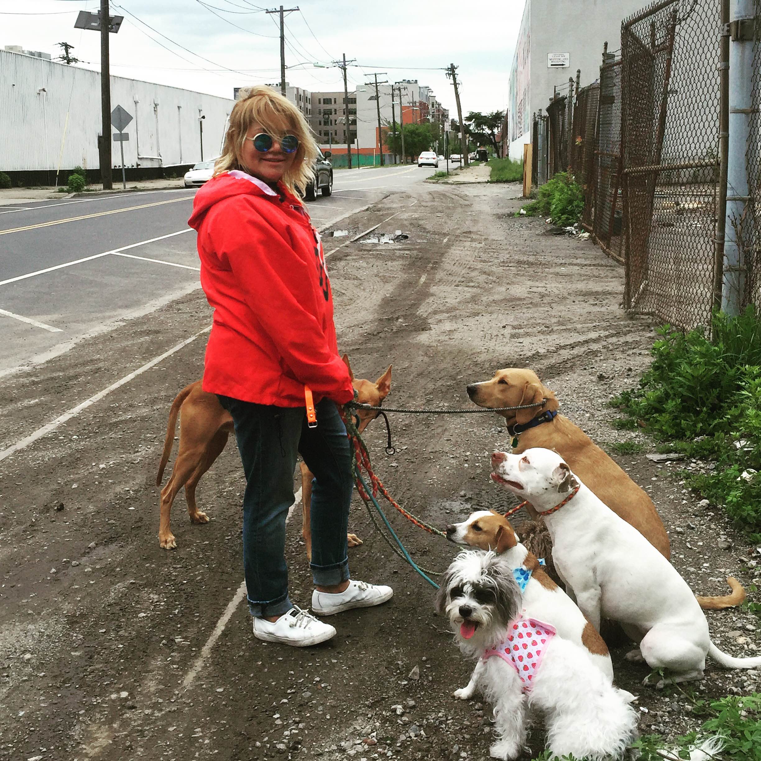 Dogs Call Me Gina's Photo