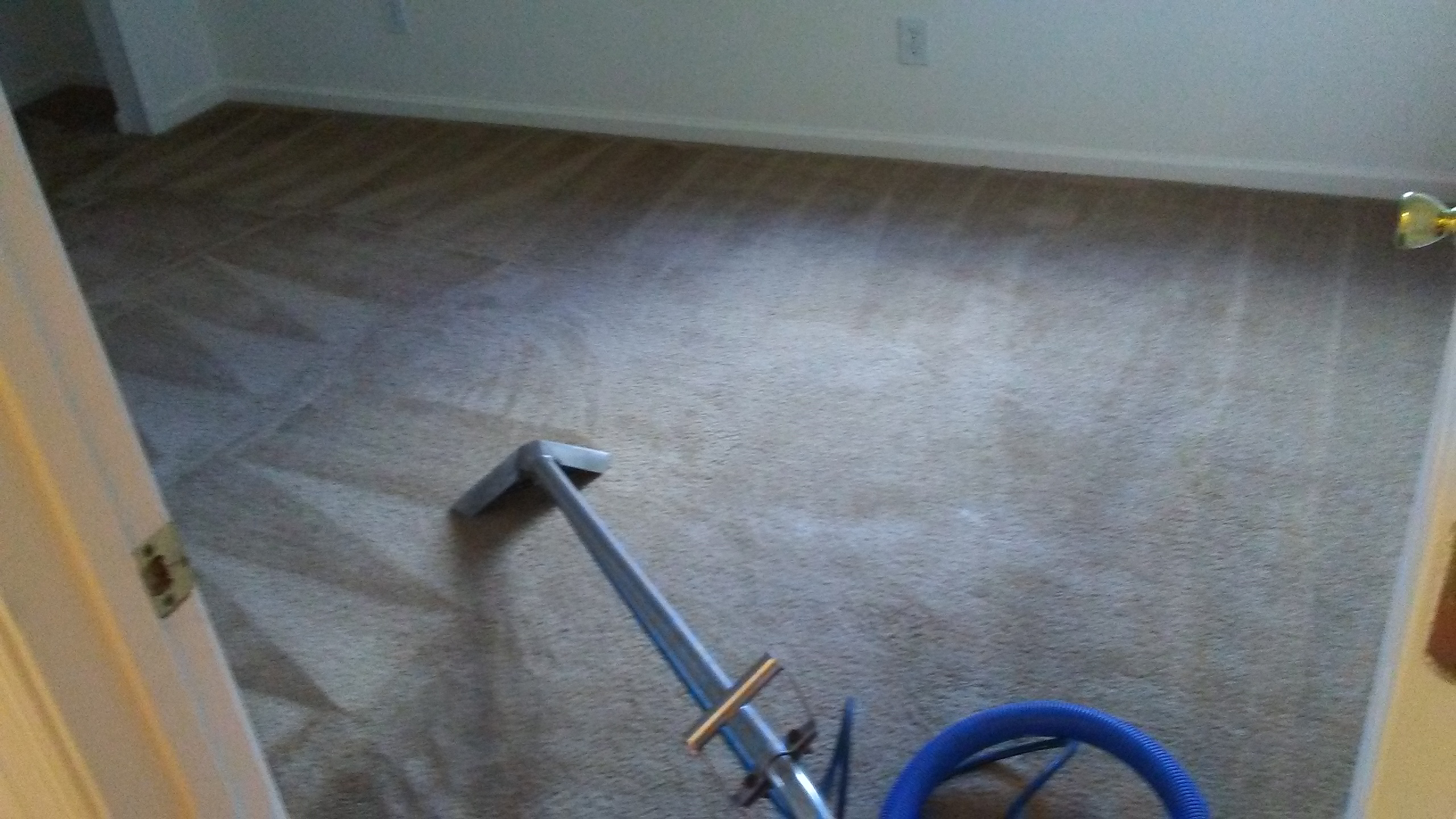 Godly Carpet Cleaning LLC's Photo