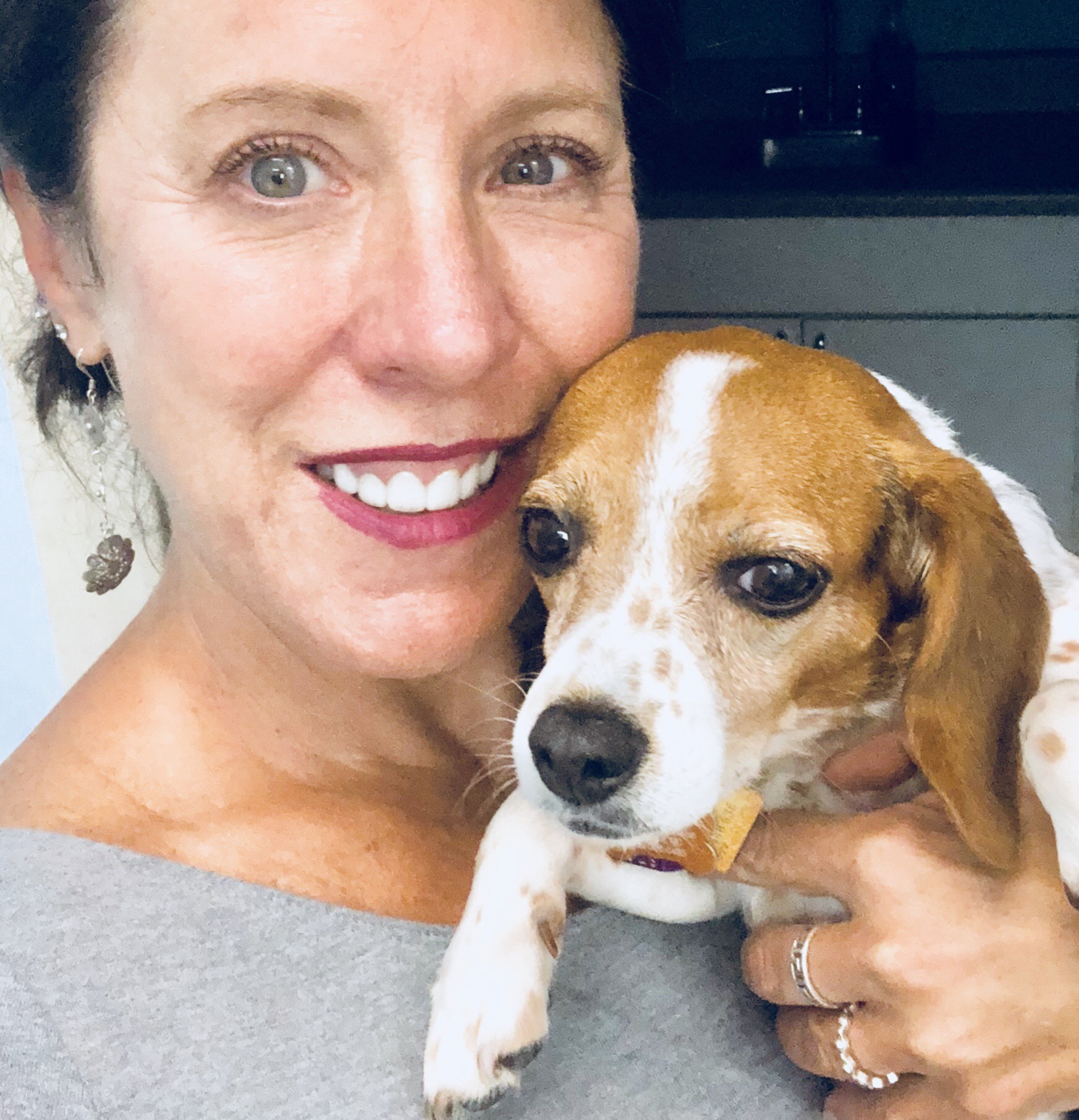 Paws Concierge's Photo