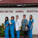 Arlington Animal Hospital