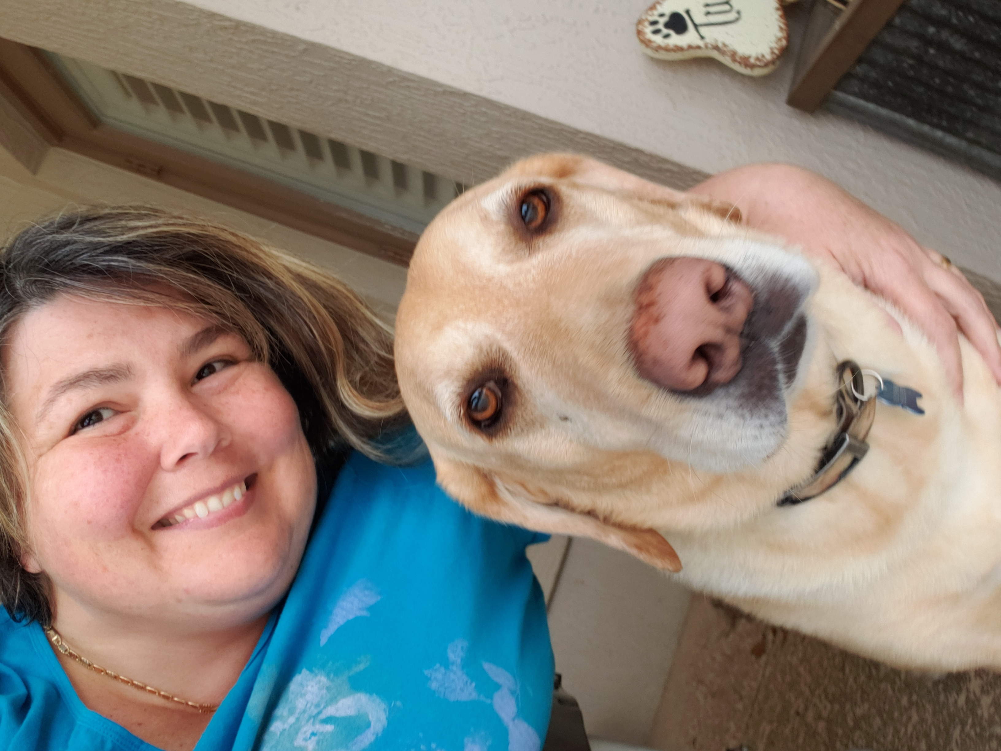 Ocala Pet Sitting's Photo