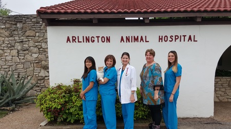Arlington Animal Hospital