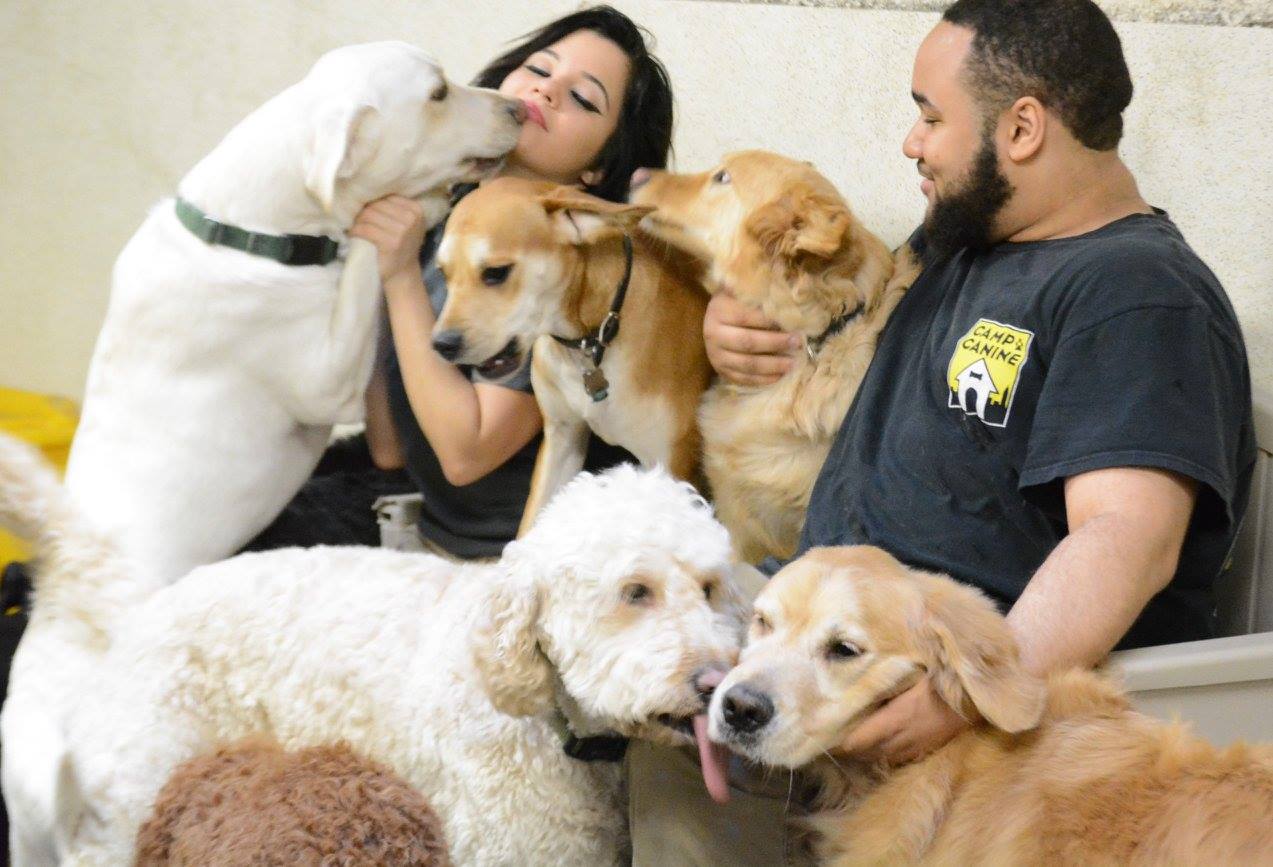 Bass Pet Resort & Spa's Photo