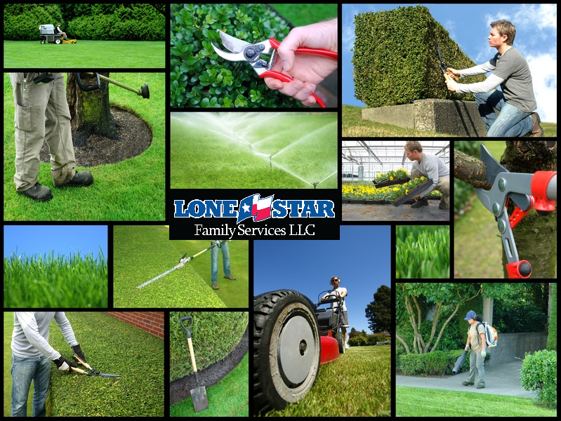 LoneStar Family Services LLC's Photo