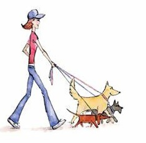 TK Pet Sitters's Photo