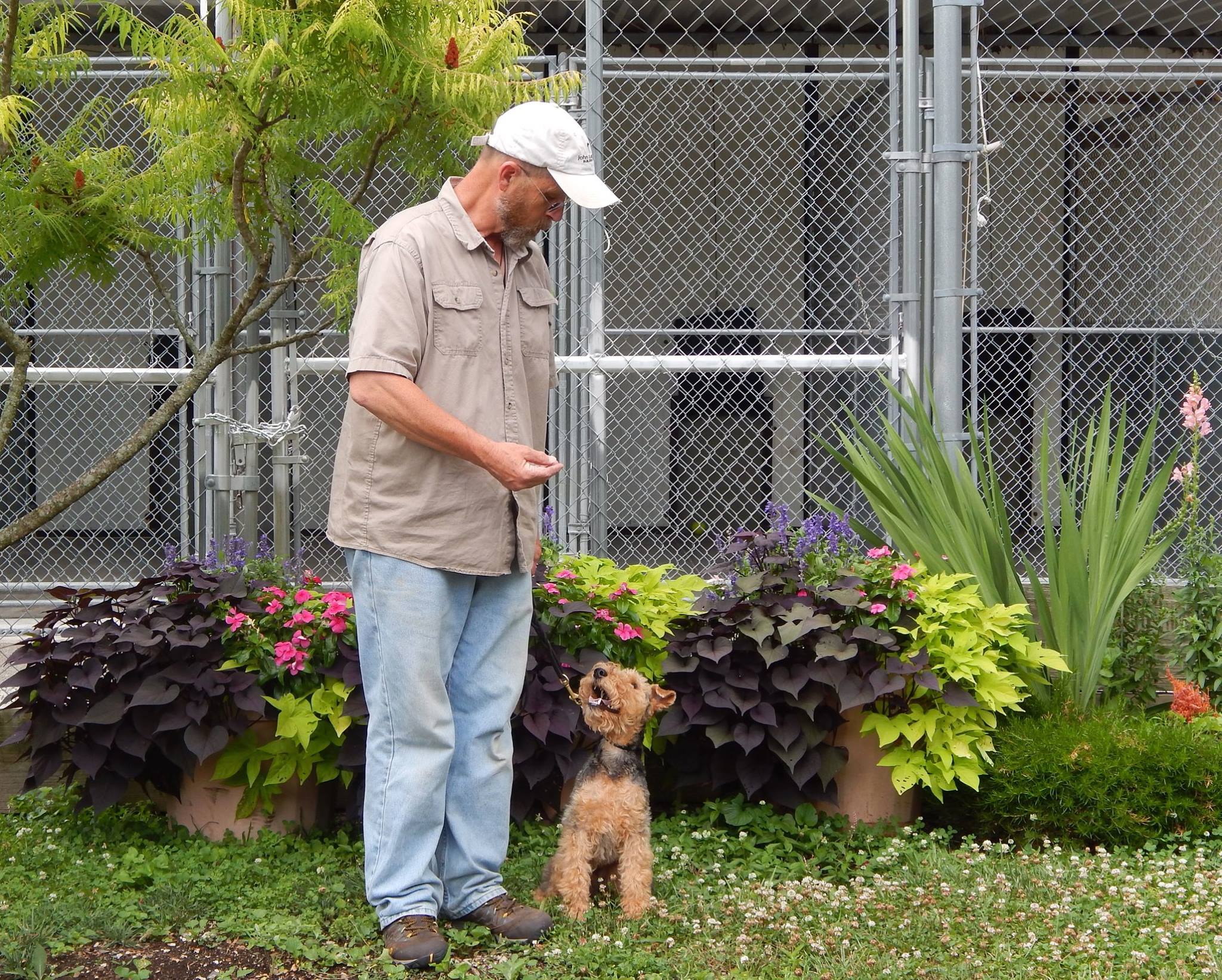 Durham Kennels's Photo