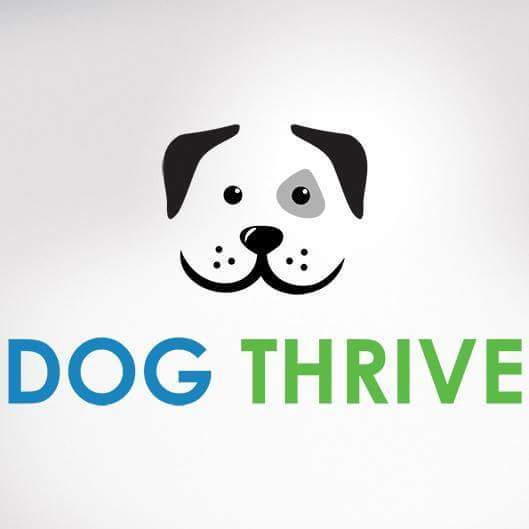 Dog Thrive's Photo