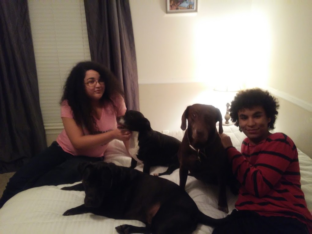 Bon Voyage Pet Sitter Services, LLC's Photo