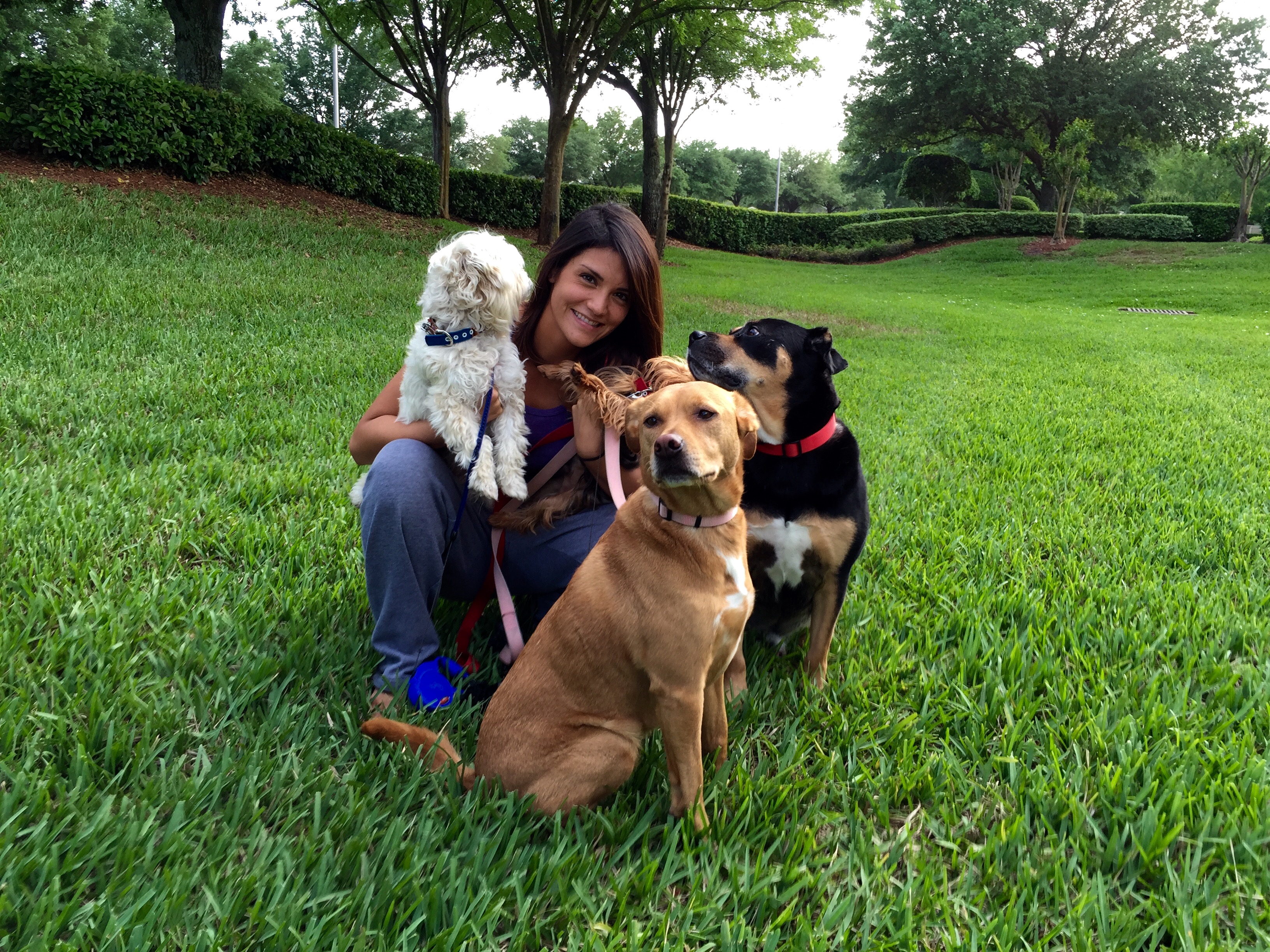 Barkway Paws's Photo