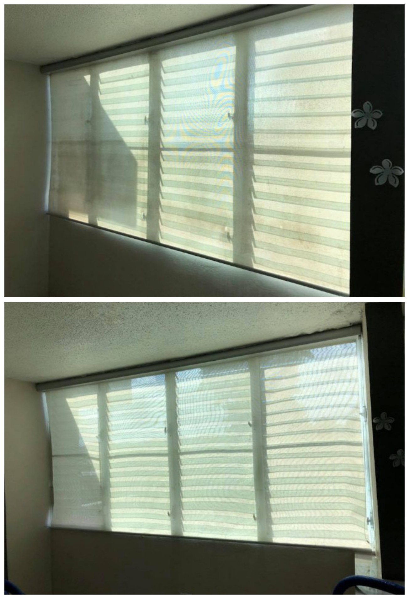 HG Cleaning Services's Photo