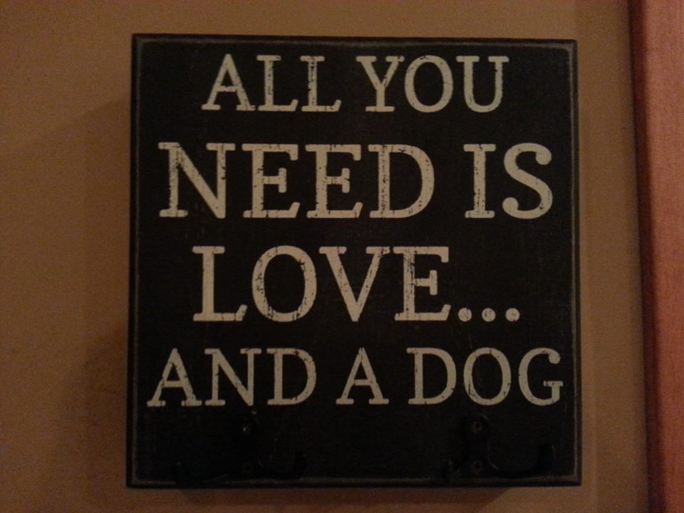 Da Lucky Dog Lodge's Photo