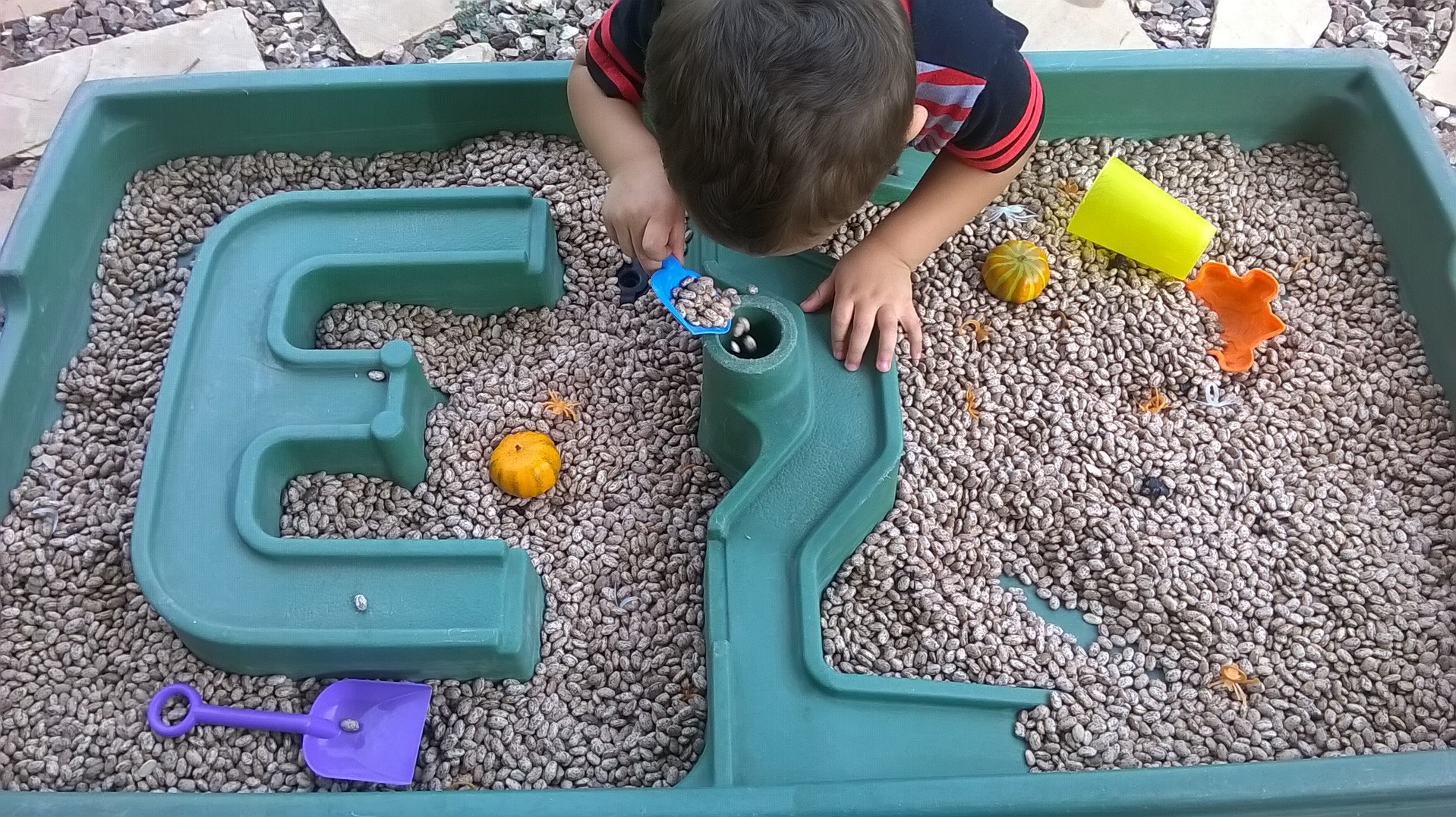 Bright Minds Preschool's Photo