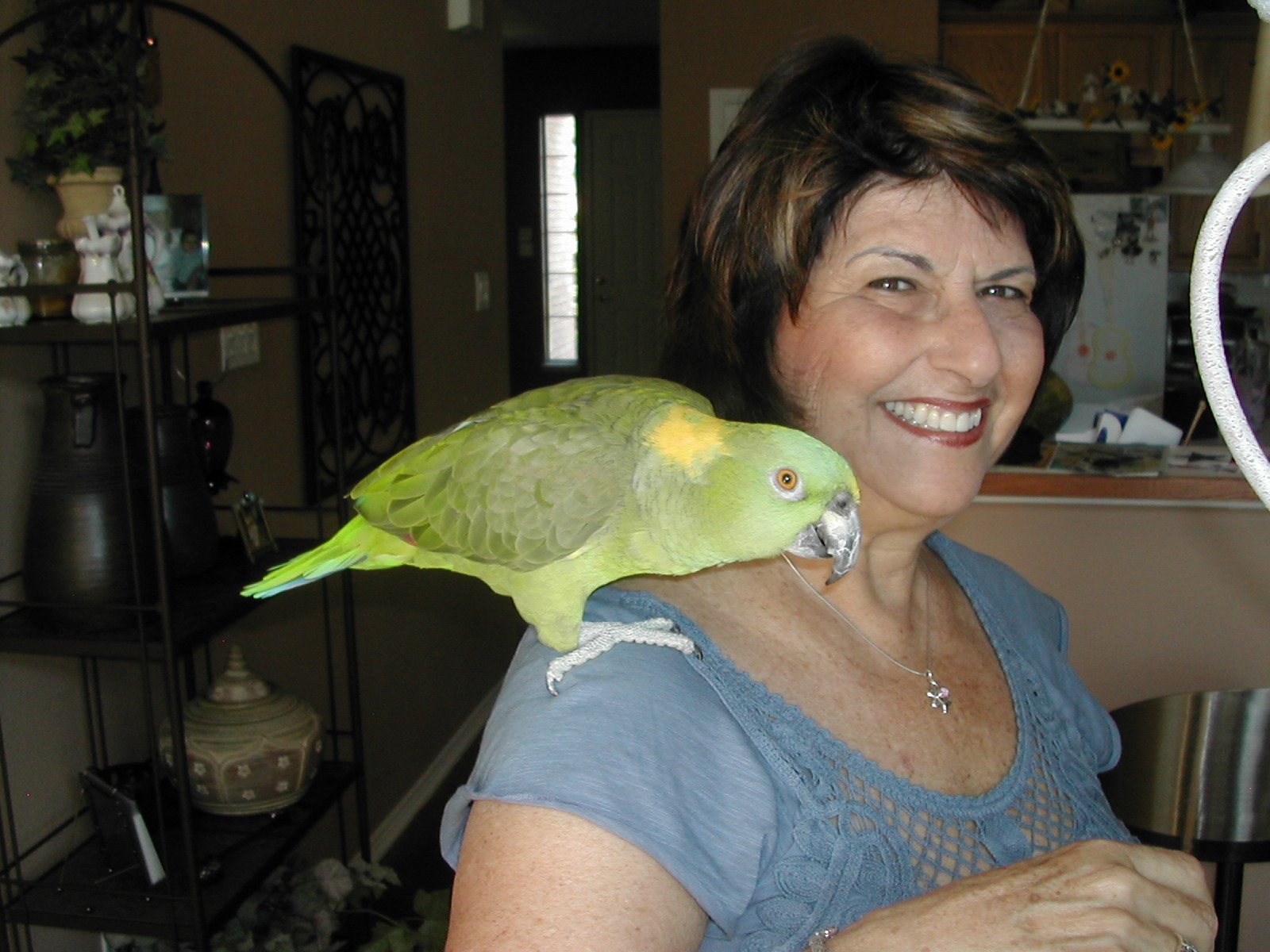 Pets Are Inn's Photo